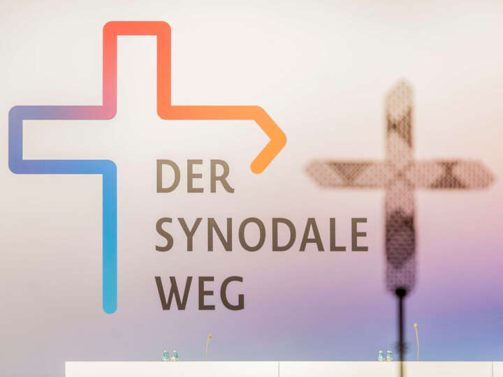<a href="https://forum-pfarrblatt.ch/dossiers/dossier-synodaler-weg">Dossier «Synodaler Weg»</a>