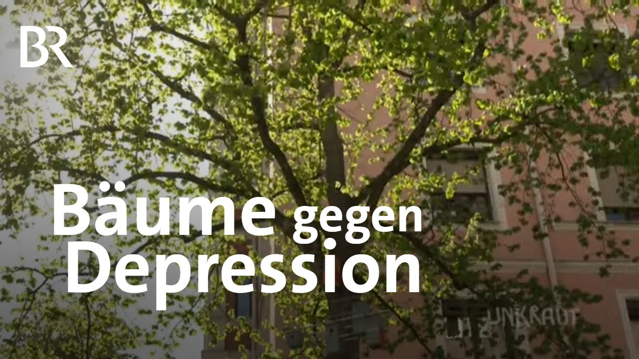 Bäume in der Stadt: Schutz vor Depressionen | UNKRAUT | Umwelt | BR